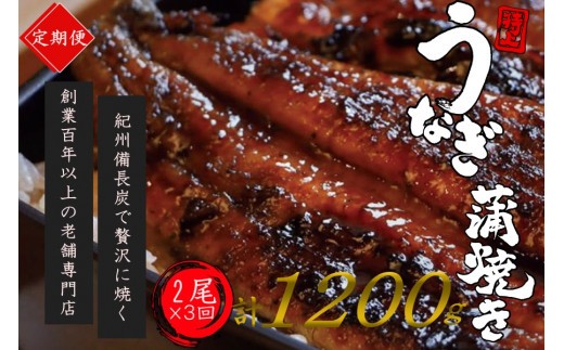 
                  【全3回定期便】極上！国産うなぎ蒲焼 2尾×3回 計6尾 約1200g 創業100年以上続く老舗 紀州備長炭でじっくり焼き上げた専門店の味 （タレ・山椒付き）/ うなぎ ウナギ 鰻 蒲焼 国産 ふるさと納税【tkb318】
                