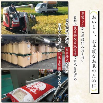 ふるさと納税 宝達志水町 米 定期便 能登米 こしひかり 5kg×3回 総15kg [中橋商事 宝達志水町 38601206] |  | 02
