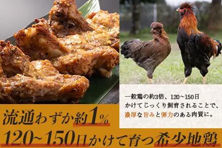みやざき地頭鶏 1羽をまるごと堪能セット 約1.6kg 冷凍｜鶏肉 地鶏 モモ ムネ ササミ 手羽先 手羽元 レバー 砂肝 ガラ 1羽まるごと ロースト チキン じとっこ 真空パック 興洋開発株式会社