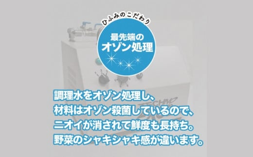【全12回定期便】《具材付》長崎冷凍皿うどん