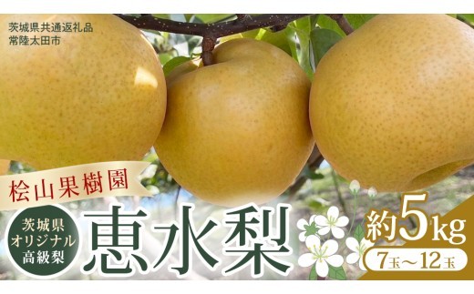 
                   茨城県 オリジナル 幻の 高級梨 『 恵水 』 約 5kg 7玉 ～ 12玉 【茨城県共通返礼品／常陸太田市】 桧山果樹園 農家直送 桧山果樹園 農家直送 フルーツ  甘い 直送 茨城 限定 ギフト 梨 恵水 けいすい 果物 [DU008sa]
                