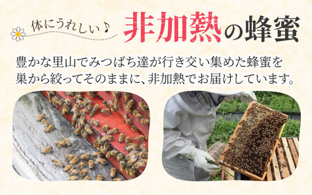 生はちみつ　180g×2本 【ビン】 | 国産 天然 はちみつ ハチミツ 蜂蜜 ハチミツ 純粋はちみつ 蜂蜜 百花 非加熱 国産 ギフト 贈答用 プレゼント レモン 紅茶 梅干し 富山県 滑川市 ハニ