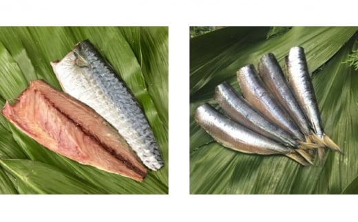 干物 旬の魚 5～6種 セット 旬 国産 ひもの セット 詰め合わせ 海鮮 魚 魚介 海の幸 ヒモノ himono 干し 自家製造 焼魚 焼き魚 さかな サカナ おつまみ 弁当 惣菜 おかず ご飯 ご