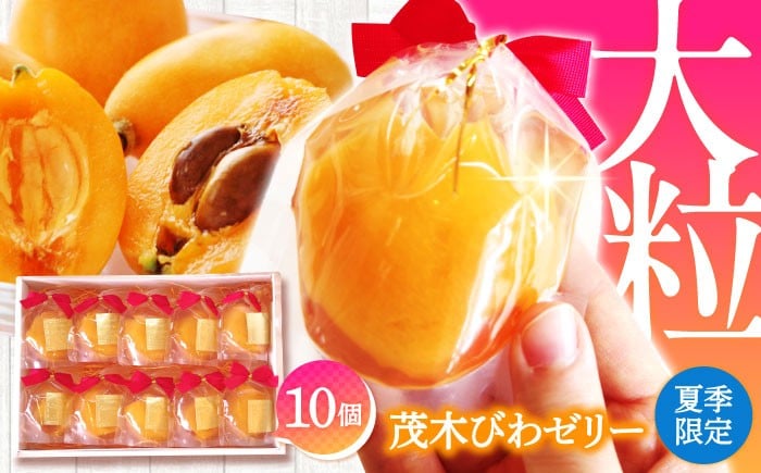 
            【2025年5月上旬〜発送】【夏季限定】茂木びわ ゼリー 10個入 / びわ ビワ ゼリー びわゼリー ぜりー びわぜりー びわ フルーツ 果物 ギフト 贈答 お中元 / 南島原市 / 本田屋かすてら本舗 [SAW040]
          