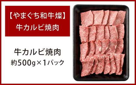 【やまぐち和牛燦】 牛カルビ焼肉 約500g 牛カルビ 焼肉 焼き肉 牛肉 冷凍 福岡県 北九州市