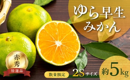 【2026年先行予約】 ゆら早生みかん 5kg 赤秀 ２Sサイズ_BF6040n