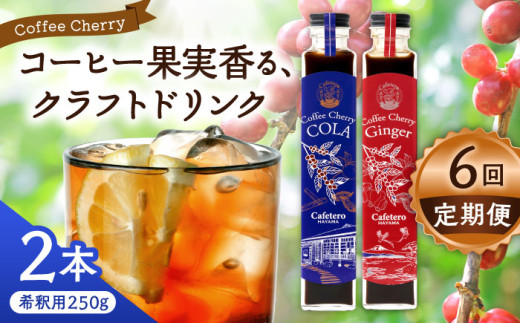 【先行予約】【2025年7月中旬から順次発送】【全6回定期便】カフェテーロ葉山　コーヒーチェリーコーラ 1本 コーヒーチェリージンジャー 1本 計2本 / コーラ エナジードリンク 酸味 コーヒー  神奈川県 葉山町 クラフトコーラ 天然 ドリンク 炭酸【合同会社エンディレクト】 [ASBM023]