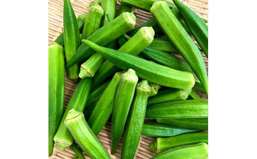 オクラ 20袋 約1.4kg 約1.4キロ おくら 国産 オクラ 新鮮野菜 美味しい 野菜 厳選 新鮮 おかず 常温 配送 副菜 惣菜 煮物 朝どれ 詰め合わせ 取り寄せ グルメ お取り寄せグルメ お