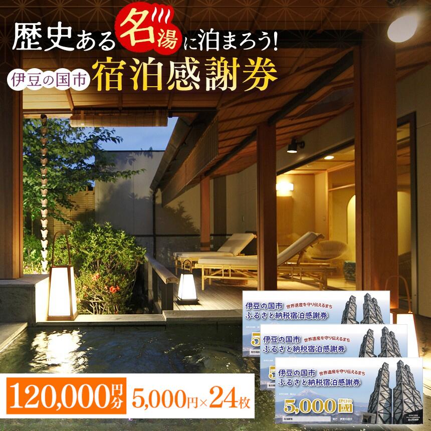 【ふるさと納税】 伊豆の国市宿泊感謝券（5000円×24枚）｜ 旅行 伊豆 温泉 体験 旅行券 チケット 旅館 ホテル キャンプ トラベル 伊豆の国 静岡県 静岡 国内