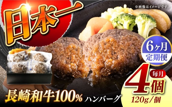 
            【6回定期便】【レンジ調理】 長崎和牛 黒毛和牛100％ハンバーグ （A4またはA5ランク） 長与町/炭火焼肉あおい [EBW074]
          