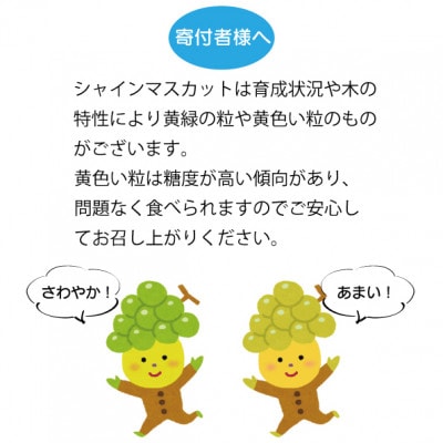 農福連携 シャインマスカット2房(2房合計1kg程度)山梨市【ふるさと納税】【配送不可地域：離島】