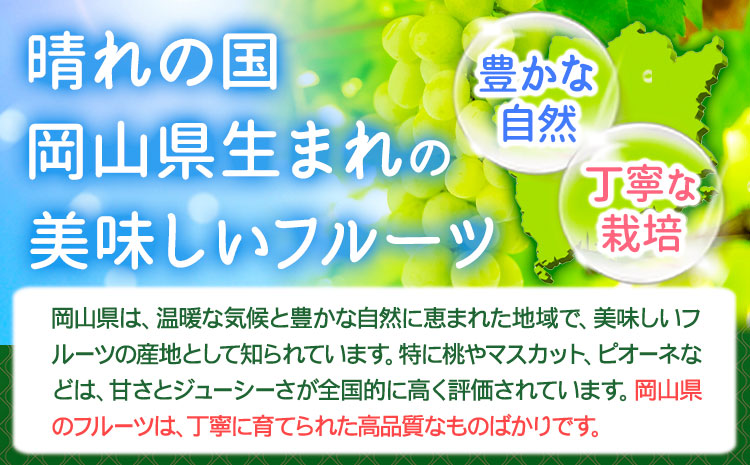 訳あり シャインマスカット 約1.2kg 1～3房【配送不可地域あり】 花田青果株式会社《2026年9月上旬-10月末頃出荷》---124_c2533_9a10m_25_10000_3p---