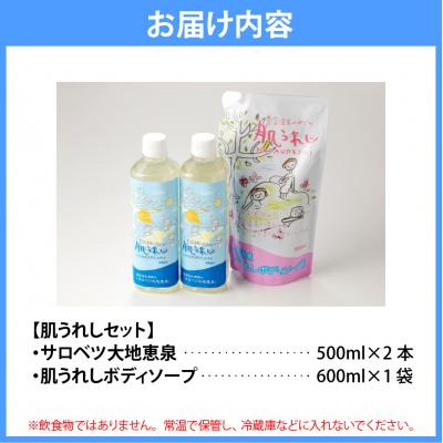 ふるさと納税 豊富町 豊富温泉 濃縮温泉水サロベツ大地恵泉 (500ml×2本) & ボディーソープ (600ml×1個) |  | 03