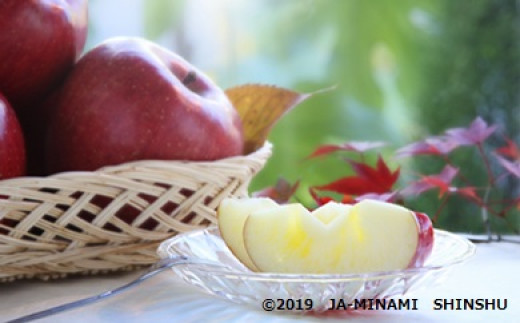 
                  7-J13　サンふじ（小玉）約2.5kg
                