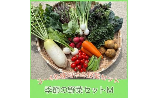 
京都府綾部市の季節の野菜セットM（3～4名様分）農薬不使用 無農薬 新鮮 野菜 セット 詰め合わせ 京都 綾部 農家直送
