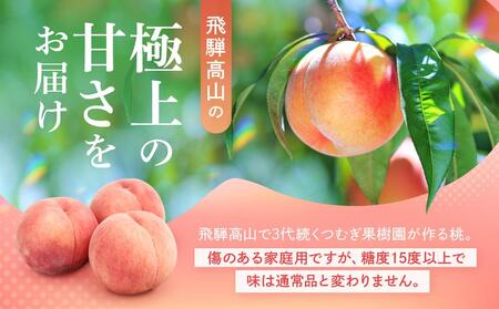 【2025年先行予約】【訳あり】飛騨の桃（4-8玉）糖度15度以上 品種おまかせ 白桃 ご家庭用｜桃 もも 極上の甘さ 濃厚な甘さ 甘い 訳アリ 規格外 朝採り 朝採れ農家直送 飛騨高山つむぎ果樹園 