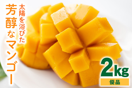 【 先行予約 2026年 発送】 沖縄の太陽を浴びた芳醇なマンゴー 2kg ( 優品 ) 沖縄県産 マンゴー アップルマンゴー アーウィンマンゴー 2キロ 国産 完熟マンゴー 果物 南国 くだもの フルーツ 完熟 夏 旬 沖縄 お取り寄せ 産地直送 農家直送 糸満市