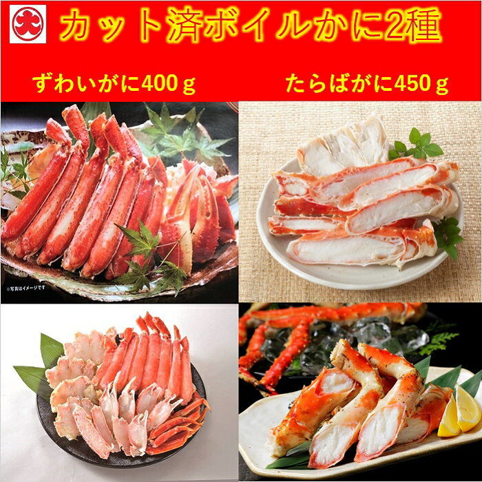 【ふるさと納税】 カット済ボイルかに脚 2 種 ( 棒肉・肩肉・爪肉 ) 計 850g ズワイ ずわい ズワイガニ ずわいがに ズワイ蟹 ずわい蟹 たらば タラバ タラバガニ たらばがに たらば蟹 タラバ蟹 かに カニ 蟹 お取り寄せ グルメ 海鮮 北海道 根室市 ふるさと納税 F-01012