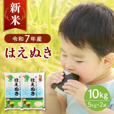 ふるさと納税 河北町 【令和7年産米】2025年12月中旬発送 はえぬき10kg 山形県産 【JAさがえ西村山】