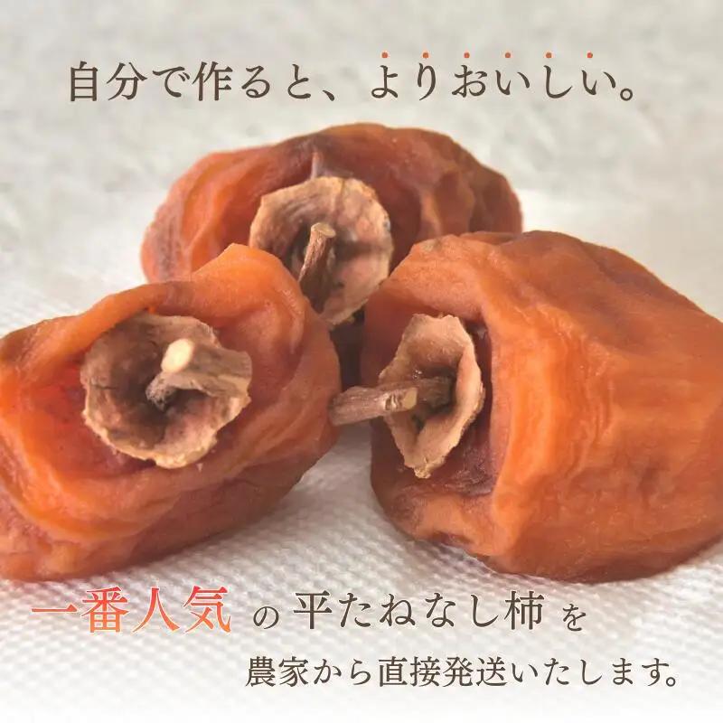 甘さが違う！とっても甘くなる生渋柿（平たねなし柿）吊るし柿用  T字枝or吊るしクリップ付約14.5～15kg　約60～90個＜2026年10月中旬～11月上旬ごろ順次発送＞Ted【art015B】