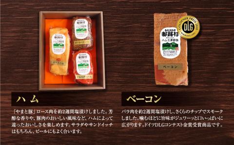 【奇数月にお届け全6回】 ハム ・ ベーコン ・ ソーセージ 詰合せ 定期便 セット やまと豚 DLG 金賞 おかず 焼くだけ のし 熨斗 ギフト お歳暮 プレゼント 人気 ランキング おすすめ 福島