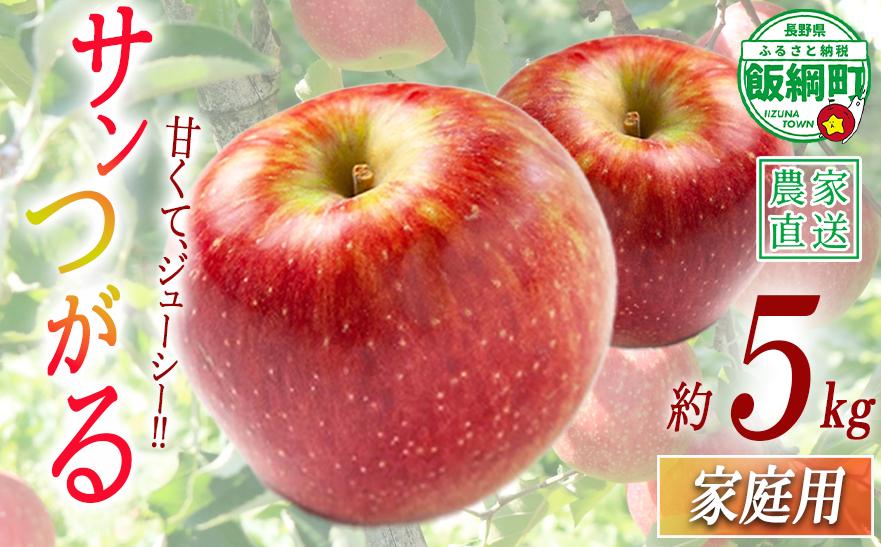 
                  りんご サンつがる 家庭用 5kg ファームたんぽぽ 沖縄県への配送不可 2026年9月上旬頃から2025年9月中旬頃まで順次発送予定 令和8年度収穫分 信州 果物 フルーツ リンゴ 林檎 長野 予約 農家直送 長野県 飯綱町 [0730]
                