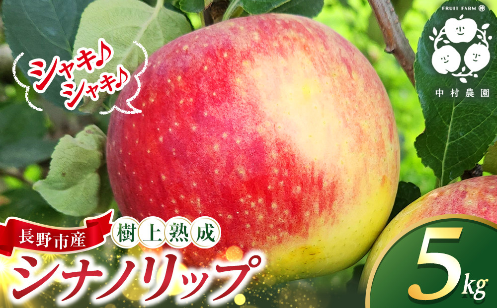 【2027年8月中旬～順次発送 先行予約】フルーツファーム中村農園　樹上熟成　シナノリップ 5kg | りんご シナノリップ  信州 林檎 果物 フルーツ 夏りんご 人気 おすすめ   ギフト 家庭用