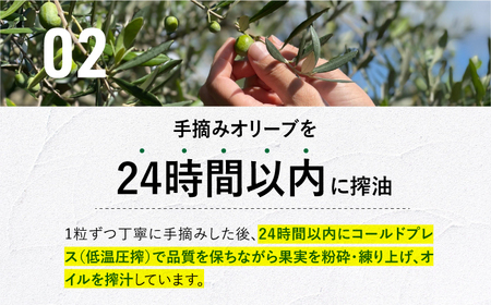 【化粧箱】エキストラバージンオリーブオイル[EAI146]  エキストラバージンオリーブオイル えきすとらばーじんおりーぶおいる オリーブオイル エキストラバージン オイル おりーぶおいる おいる ギ