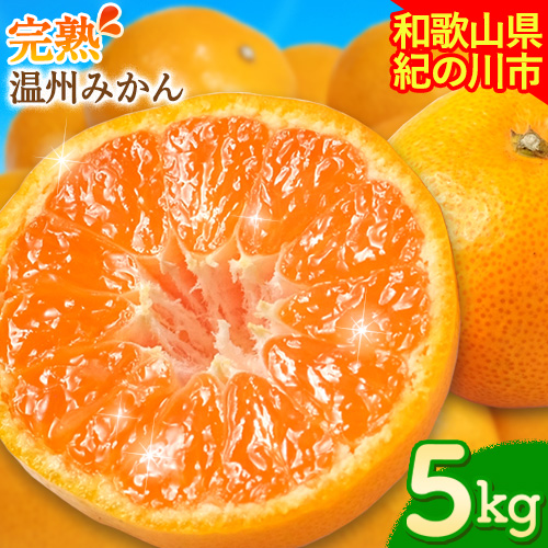 【先行予約】完熟 温州みかん 約5kg (45～55玉) こだまファーム《10月中旬-2月中旬頃出荷》 和歌山県 紀の川市 みかん ミカン 果物 フルーツ