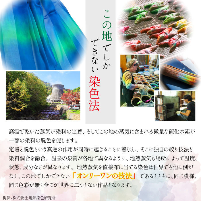 【八幡平GEOCOLOR】 八幡平地熱蒸気染色 ワークショップ 体験チケット 2名様分 ／ 地熱染め 体験教室 手絞り 手染め 染物 染め物 染色 体験型 体験 チケット 染色体験 染物体験 染物教室