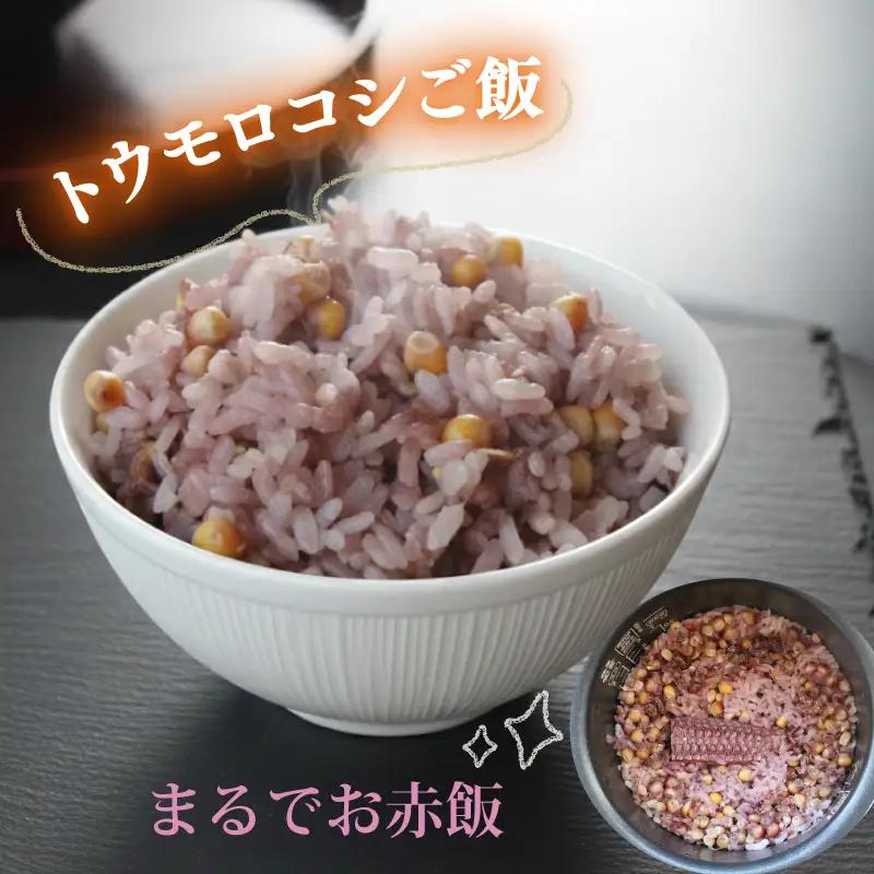 【2027年先行予約】 フルーツコーン レッド種 約4kg(8～11本) とうもろこし