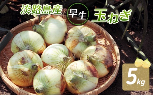 
                  ふれあい市の会 早生 玉ねぎ 5kg タマネギ オニオン 野菜 旬 甘い 淡路島 洲本市　お届け：2026年4月中旬～2026年6月中旬 [№5395-0268]
                
