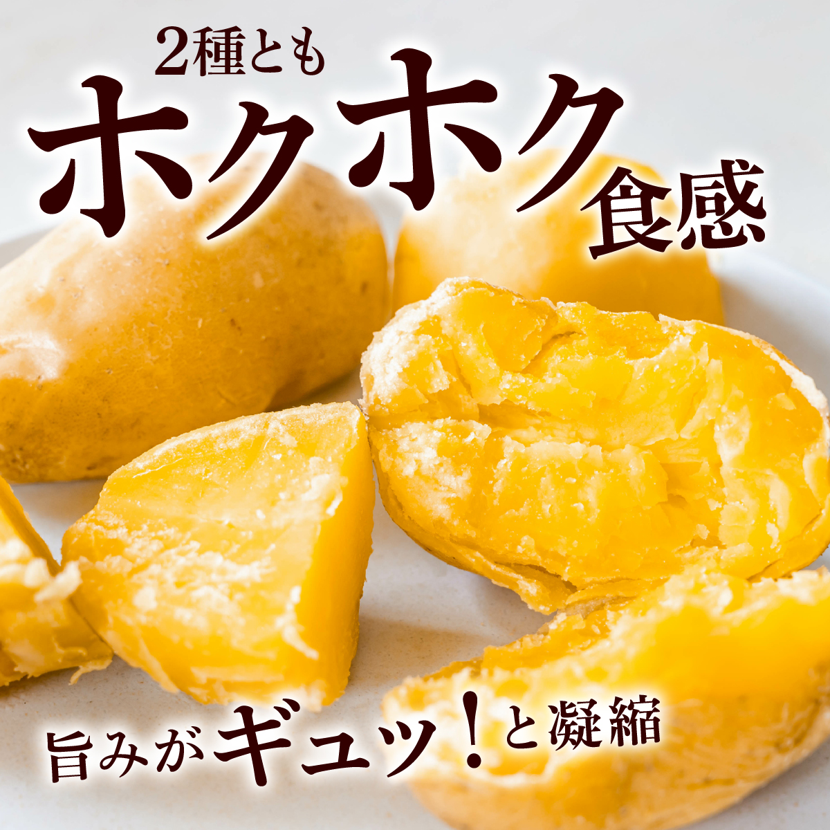 やまけんや じゃがいも 2種 計5kg きたあかり インカのめざめ ジャガイモ いも イモ 芋 ほくほく ホクホク 甘い アレンジ 国産 産地直送 馬鈴薯 野菜 やさい 北あかり 送料無料 北海道 伊