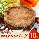 【ふるさと納税】宮崎牛 ハンバーグ 100g × 10個 1kg ブランド 和牛 100% 柔らかい ジューシー 冷凍 牛肉 便利 個包装 おかず アレンジ バーガー 簡単 調理 時短 お取り寄せ グルメ 宮崎県 延岡市 送料無料