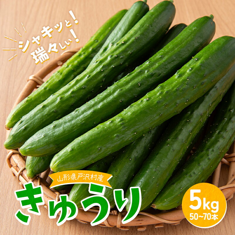 【ふるさと納税】 山形県 戸沢村産 野菜 きゅうり 約5kg 夏野菜 やさい サラダ 漬物 胡瓜 キュウリ 自宅 家庭 産地直送 F7W-0502