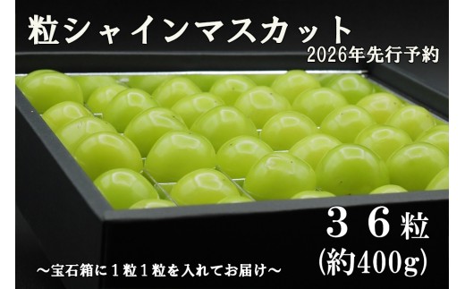 【令和８年度先行予約】《厳選・宝石箱》シャインマスカットひと口BOX(３６粒入り・約400g)　シャイン マスカット ぶどう 葡萄 ブドウ 房なし 粒シャイン 粒のみ 粒だけ くだもの 果物 フルーツ 山梨 やまなし 富士川町