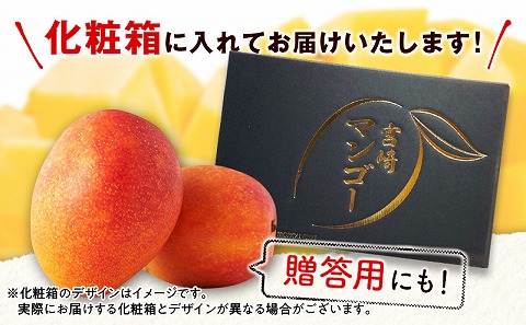 宮崎特産品　宮崎県産完熟マンゴー　太陽のタマゴ　2L×1個