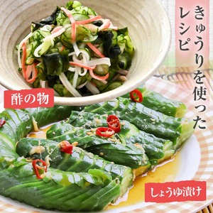 きゅうり 2kg 2キロ キュウリ 野菜 新鮮 サラダ 漬物 浅漬け ぬか漬け 酢の物 炒め物 健康 高知県 土佐清水市【R01451】