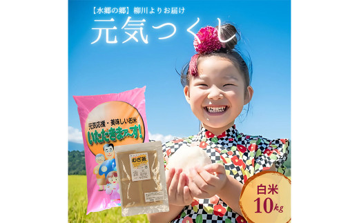 【柳川のお米】 令和6年産 元気つくし 10kg と 麦茶 16P セット 白米 お茶 パック