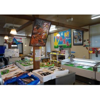 ふるさと納税 日南町 OM26【早期先行予約】ブランドタグ付高級生松葉ガニ(約1kgを1枚) |  | 02
