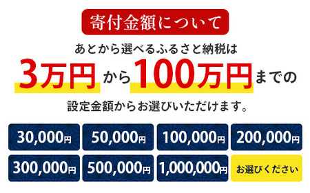 あとからセレクト【ふるさとギフト】3万円分 MN-18 │30000 鹿児島県 南大隅町 あとから選べる 返礼品 特産品 プラン 選べる返礼品 あとから選べる ギフト ギフトポイント 後から選ぶ カタ