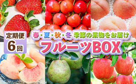 【定期便6回】フルーツBOX  FZ25-287