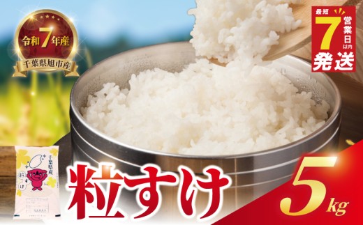 ＼最短7営業日以内発送／ 令和7年産 粒すけ 5kg 日時指定可 つぶすけ 精米 コメ お米 おこめ こめ ライス 白米 ご飯 ごはん 日時 指定 R7米 R7 7年産 令和7年産米 kome 2025 国産 千葉県産 備蓄 家庭用 送料無料 千葉県 旭市 有限会社髙野商店 tst003