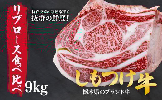 しもつけ牛のリブロース 部位食べ比べ9kg | 牛肉 肉 お肉 焼肉 ステーキ 産地直送 国産 国産牛 赤身 霜降り 希少 旨味 旨み 熟成 テクニカン テクニカン社 スキンパック 真空パック 真空包装 コトラミートカルチャ 栃木県 茂木町
