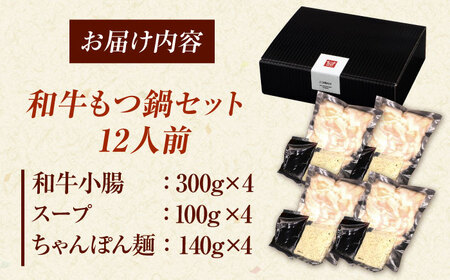 【博多久田】和牛もつ鍋セット（ちゃんぽん麺あり）　12人前　桂川町/久田精肉店[ADBM175]