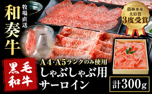 厳選 くまもと黒毛和牛 しゃぶしゃぶ用 サーロイン 300g 《30日以内に出荷予定(土日祝除く)》熊本県 大津町 和牛焼肉LIEBE くまもと黒毛和牛 サーロイン ロース しゃぶしゃぶ 冷蔵 リーベ