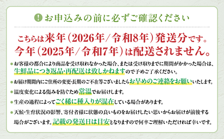 シャインマスカット 2房 1.2㎏相当 フルーツ 山梨県産 国産 産地直送 人気 おすすめ 贈答 ギフト お取り寄せ フルーツ 果物 くだもの ぶどう ブドウ 葡萄 新鮮 甘い 皮ごと 甲斐 AD-2
