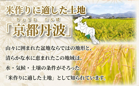 【6回定期便】令和8年産 コシヒカリ 10kg 定期便 精米 白米