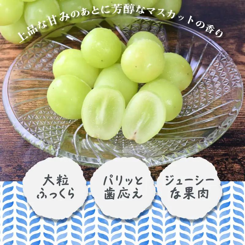 【2026年オンタイム】シャインマスカット 約2.0kg （粒）