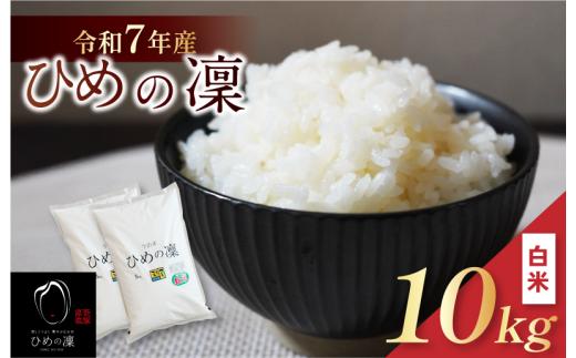 【令和7年産】【2025年11月10日から順次発送】今治産 米（ひめの凜）10kg【VB01580k10】米 お米 コメ おこめ 白米 精米 ごはん ご飯 ひめの凜 愛媛県産 今治産 新米